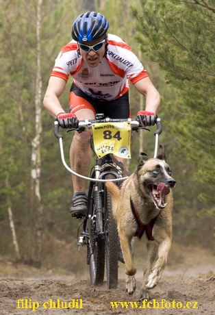 Polsko 2005 - 201.jpg